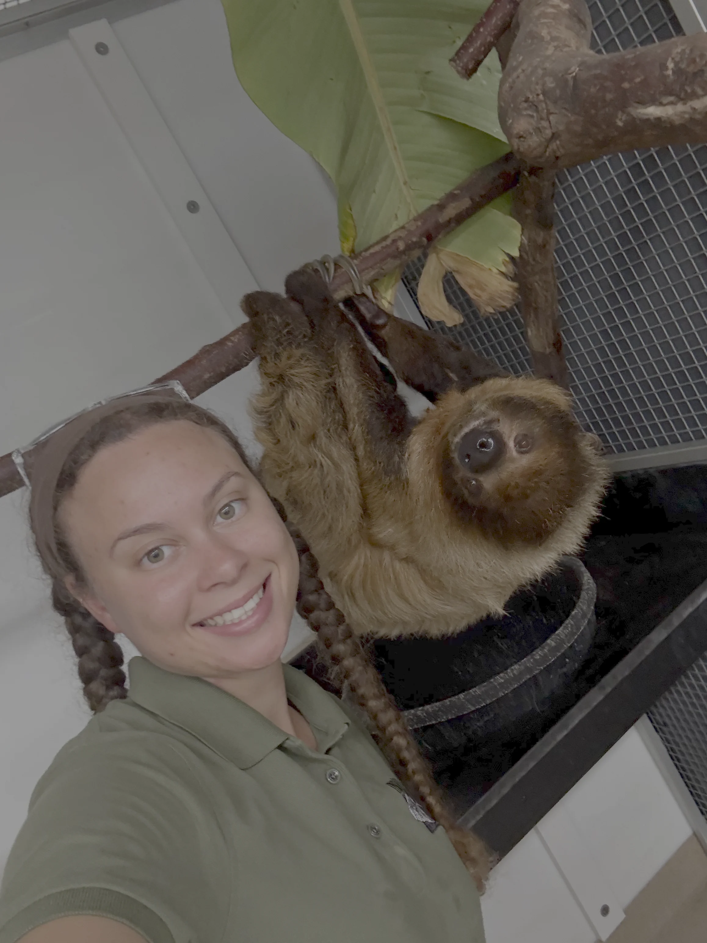 Londyn Riley with a two-toed sloth in her care